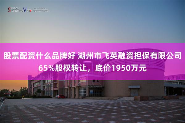 股票配资什么品牌好 湖州市飞英融资担保有限公司65%股权转让，底价1950万元