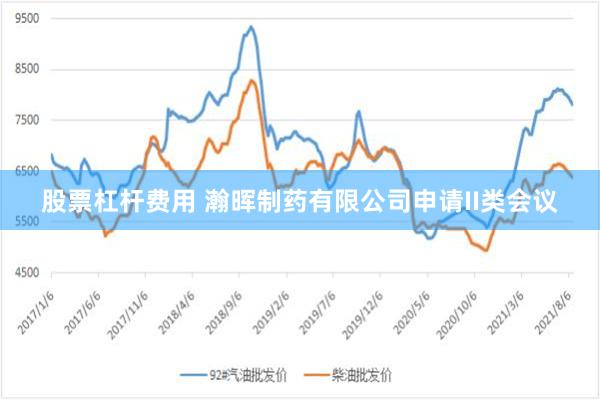 股票杠杆费用 瀚晖制药有限公司申请II类会议