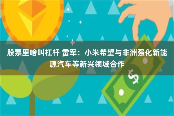 股票里啥叫杠杆 雷军：小米希望与非洲强化新能源汽车等新兴领域合作