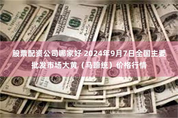 股票配资公司哪家好 2024年9月7日全国主要批发市场大黄（马蹄统）价格行情