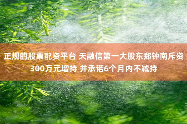 正规的股票配资平台 天融信第一大股东郑钟南斥资300万元增持 并承诺6个月内不减持