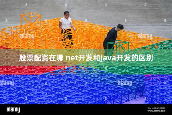 股票配资在哪 net开发和java开发的区别