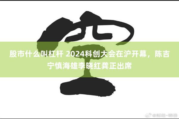 股市什么叫杠杆 2024科创大会在沪开幕，陈吉宁慎海雄李晓红龚正出席