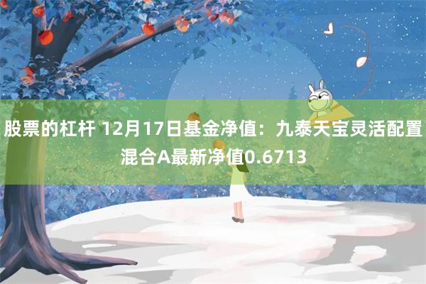 股票的杠杆 12月17日基金净值：九泰天宝灵活配置混合A最新净值0.6713