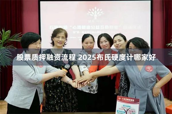 股票质押融资流程 2025布氏硬度计哪家好