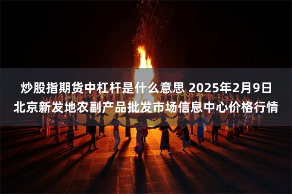 炒股指期货中杠杆是什么意思 2025年2月9日北京新发地农副产品批发市场信息中心价格行情