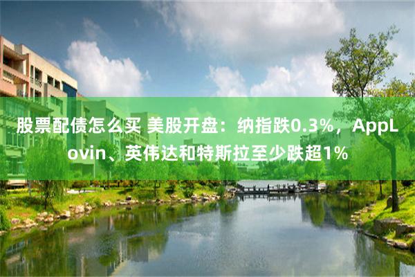 股票配债怎么买 美股开盘：纳指跌0.3%，AppLovin、英伟达和特斯拉至少跌超1%