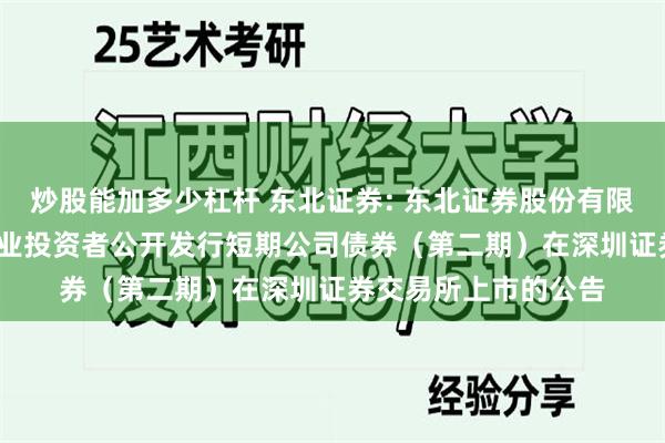 炒股能加多少杠杆 东北证券: 东北证券股份有限公司2025年面向专业投资者公开发行短期公司债券（第二期）在深圳证券交易所上市的公告